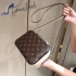 Louis Vuitton Bag 028